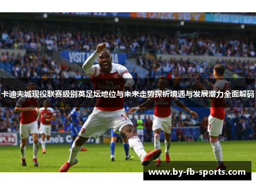卡迪夫城现役联赛级别英足坛地位与未来走势探析境遇与发展潜力全面解码
