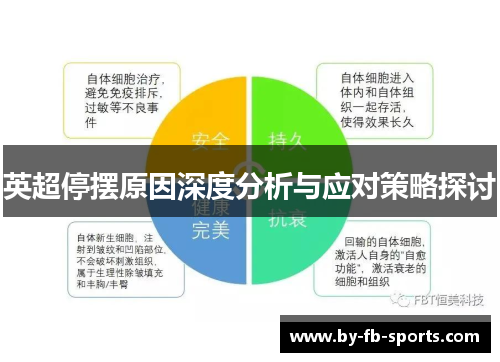 英超停摆原因深度分析与应对策略探讨 英超停摆原因深度分析与应对策略探讨
