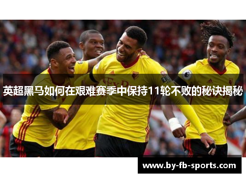 英超黑马如何在艰难赛季中保持11轮不败的秘诀揭秘 英超黑马如何在艰难赛季中保持11轮不败的秘诀揭秘