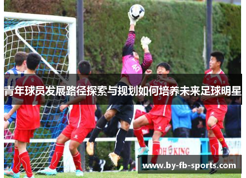 青年球员发展路径探索与规划如何培养未来足球明星