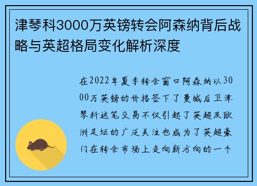 津琴科3000万英镑转会阿森纳背后战略与英超格局变化解析深度
